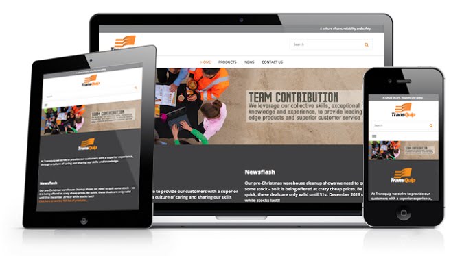 transquip transquip-netsuite-ecommerce