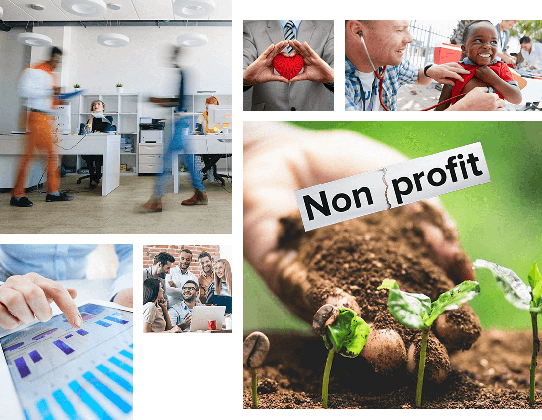 NetSuite for Non for Profit Organisations
