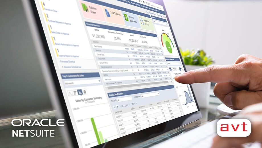 NetSuite Value Added Reseller Systems Integrator and Solution Provider